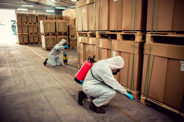 Best Flea Control Services  in Whiteriver, AZ