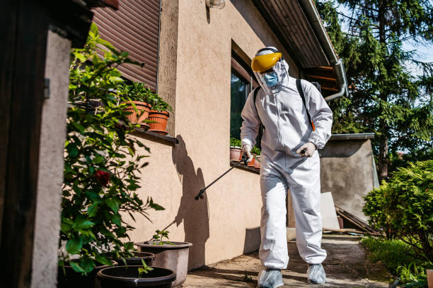 Best Bird Control  in Whiteriver, AZ