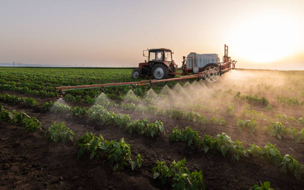 Best Mosquito Control Services  in Whiteriver, AZ