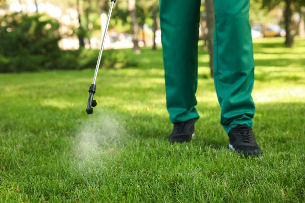 Best Pest Prevention Services  in Whiteriver, AZ