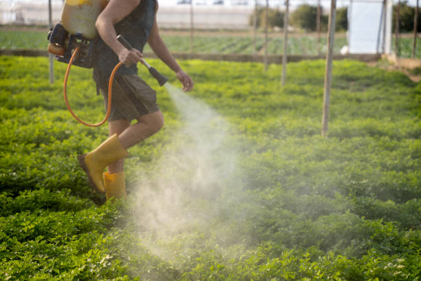Reliable Whiteriver, AZ Pest Control Solutions