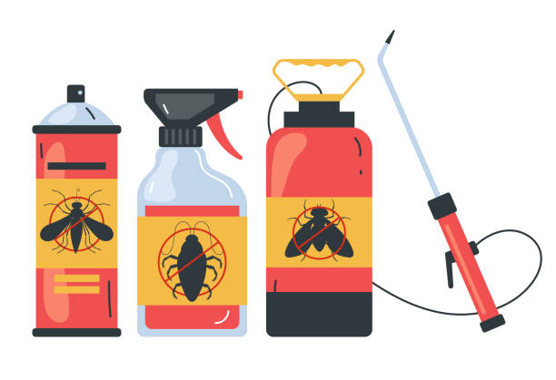 Best Wasp Removal Services  in Whiteriver, AZ